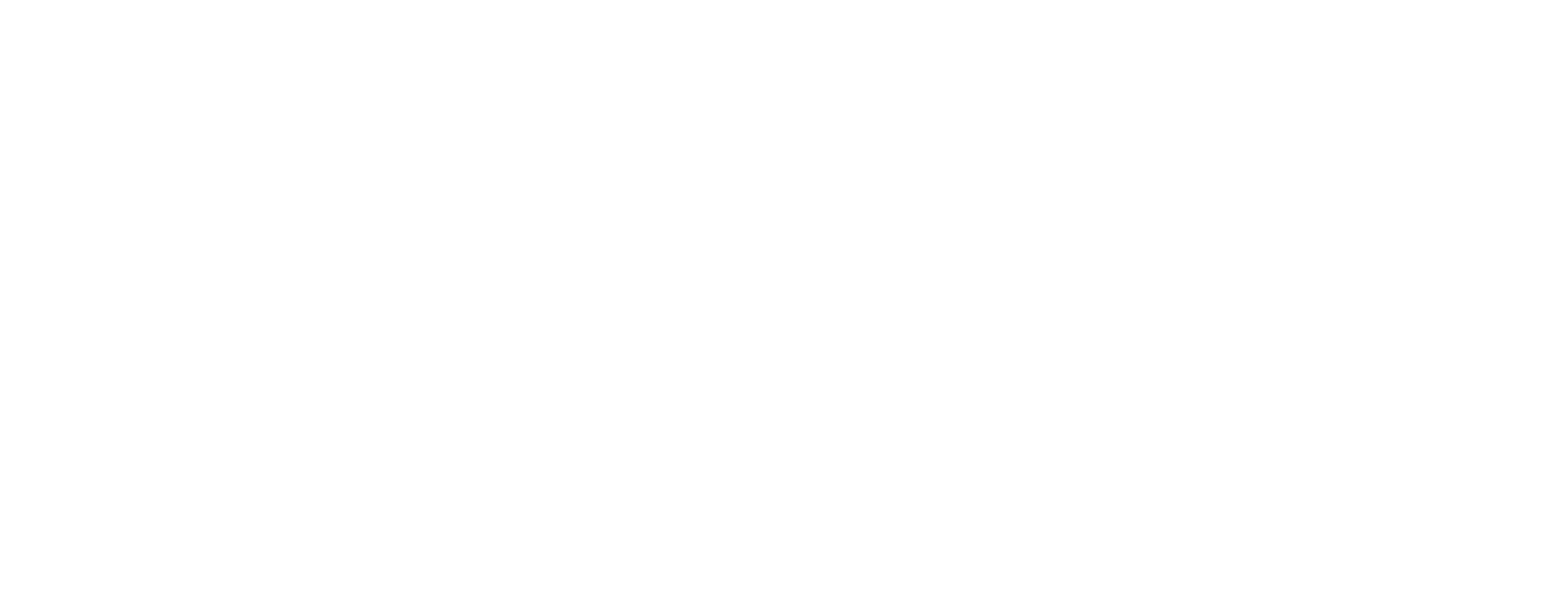a3